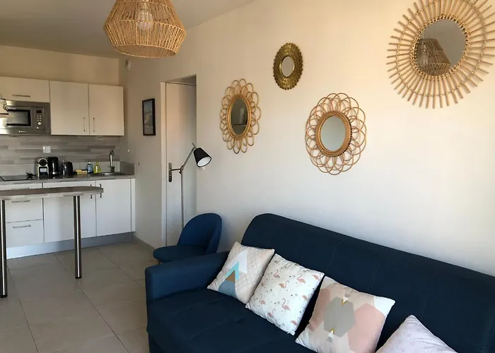 Le Petit Navire - Acces Direct Plage